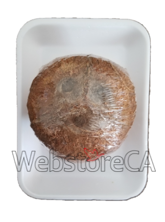 Coconut - 1 Count